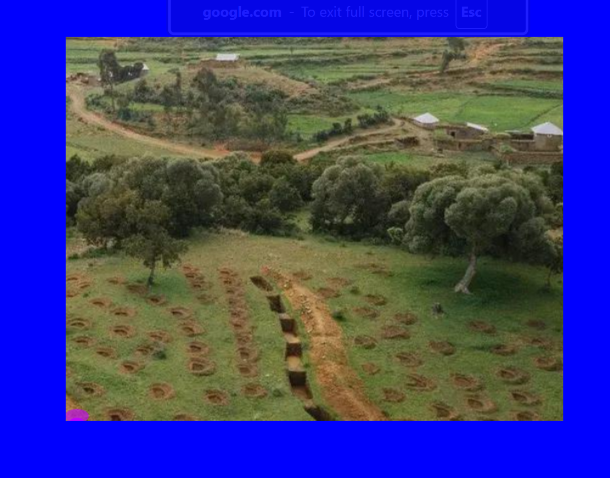 ልማትን የተዋጣለት ለማድረግ የሚደረግ ጥረት፡ በስኬት ጎዳና